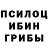 Псилоцибиновые грибы Magic Shrooms Elshan Rafiyev