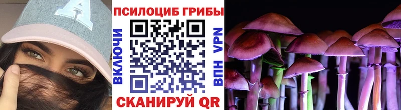 ОМГ ОМГ ONION  Ладушкин  Галлюциногенные грибы ЛСД 